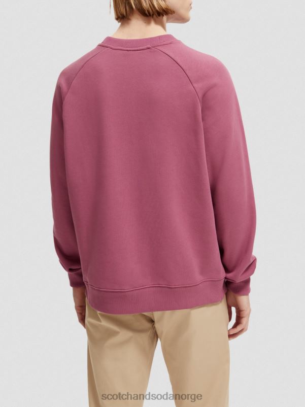 kvinner genser med rund hals i økologisk bomull dahlia N40XD196 klær Scotch & Soda