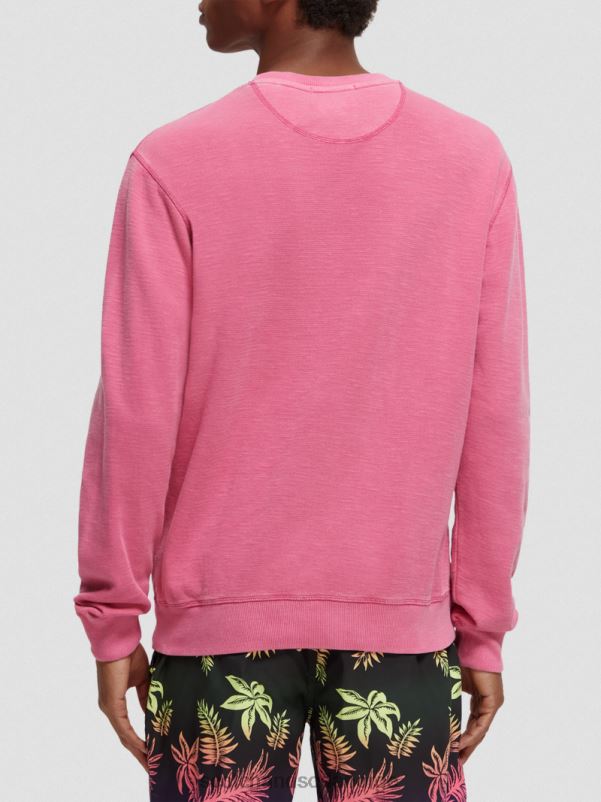 menn plaggfarget genser med rund hals cerise N40XD536 klær Scotch & Soda